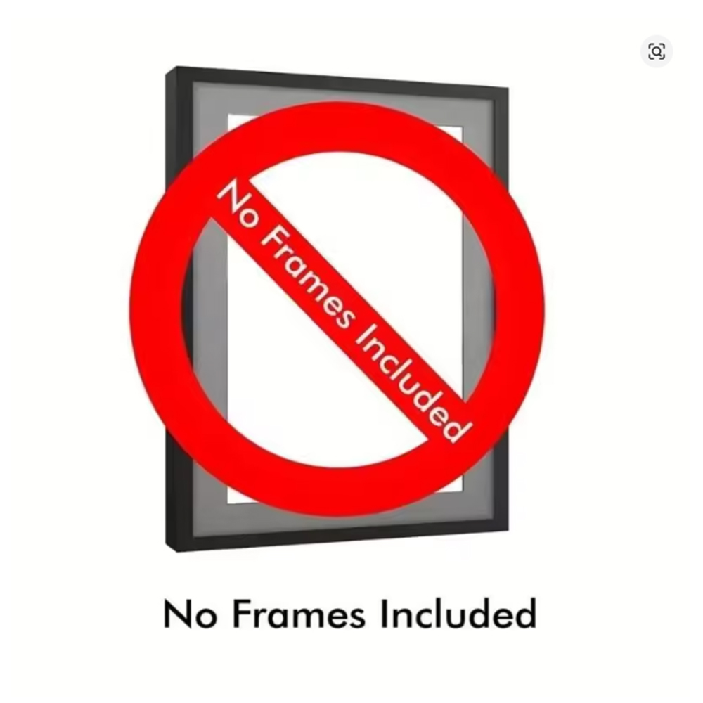 Art Poster Print Strelitzia Re - Bird Paradise Strelitzia 评论和价格