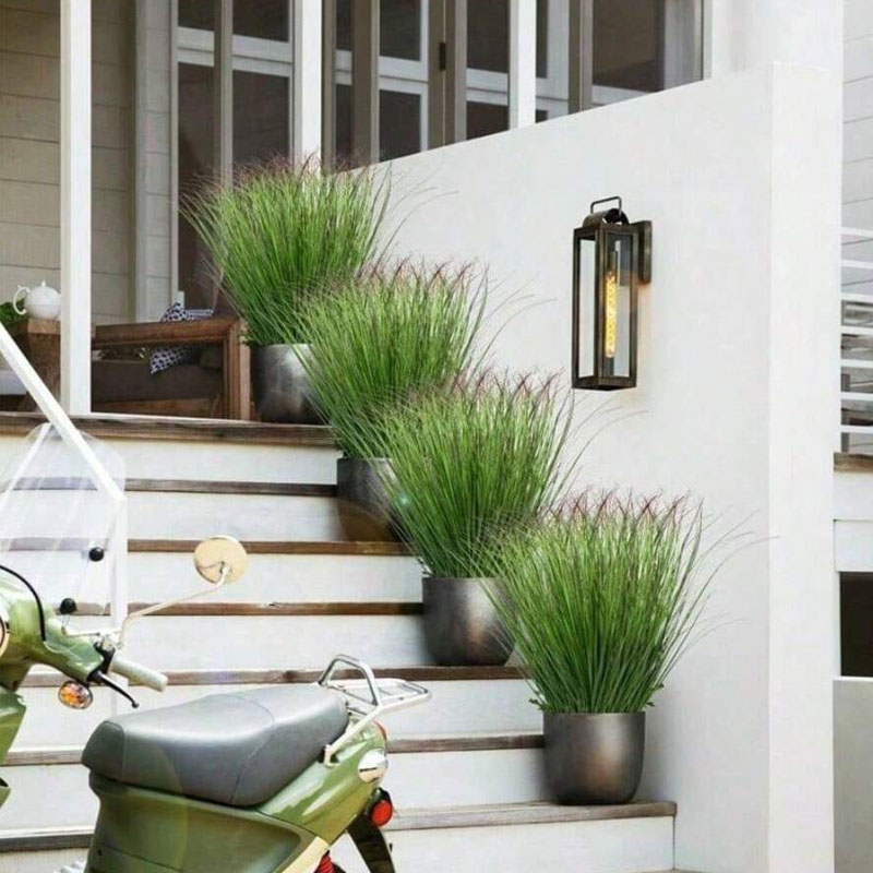 12Pcs Artificial Onion Grass F - Ficus Lyrata Tree 评论和价格