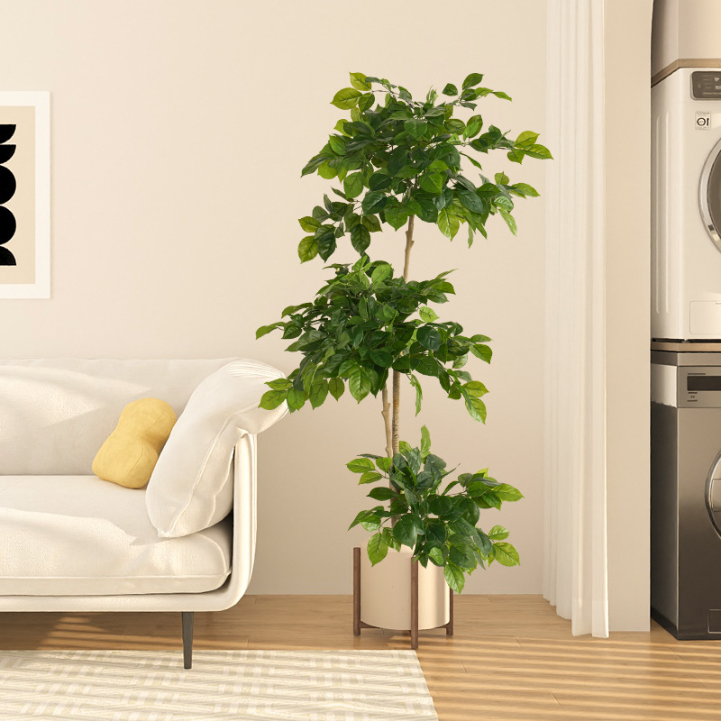 2-78in Large Fake Plants Artif - Dracaena Marginata 评论和价格