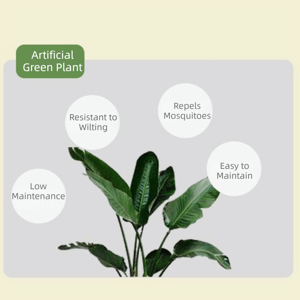 Green Plastic Artificial Ficus - Dracaena Marginata 评论和价格