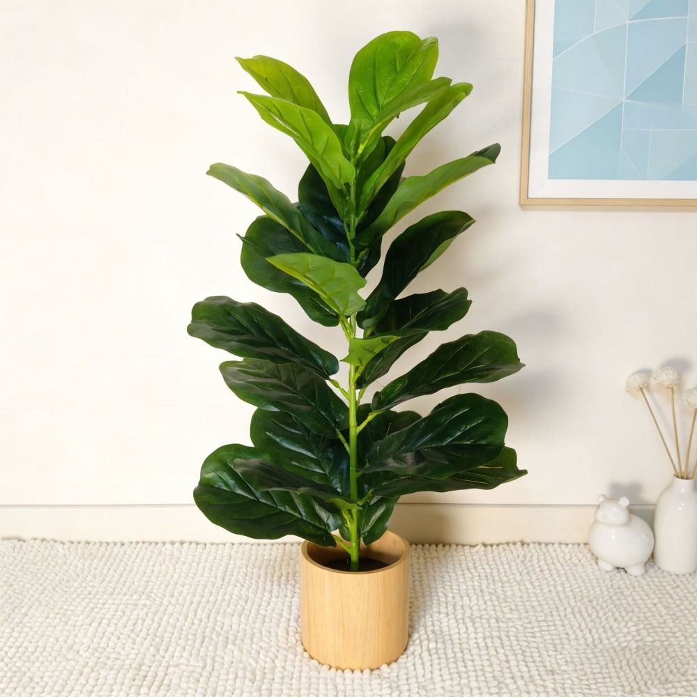Green Plastic Artificial Ficus - Dracaena Marginata 评论和价格