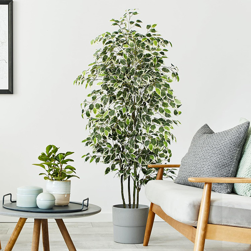 70in Artificial Ficus Tree Fau - Ficus Lyrata Tree 评论和价格