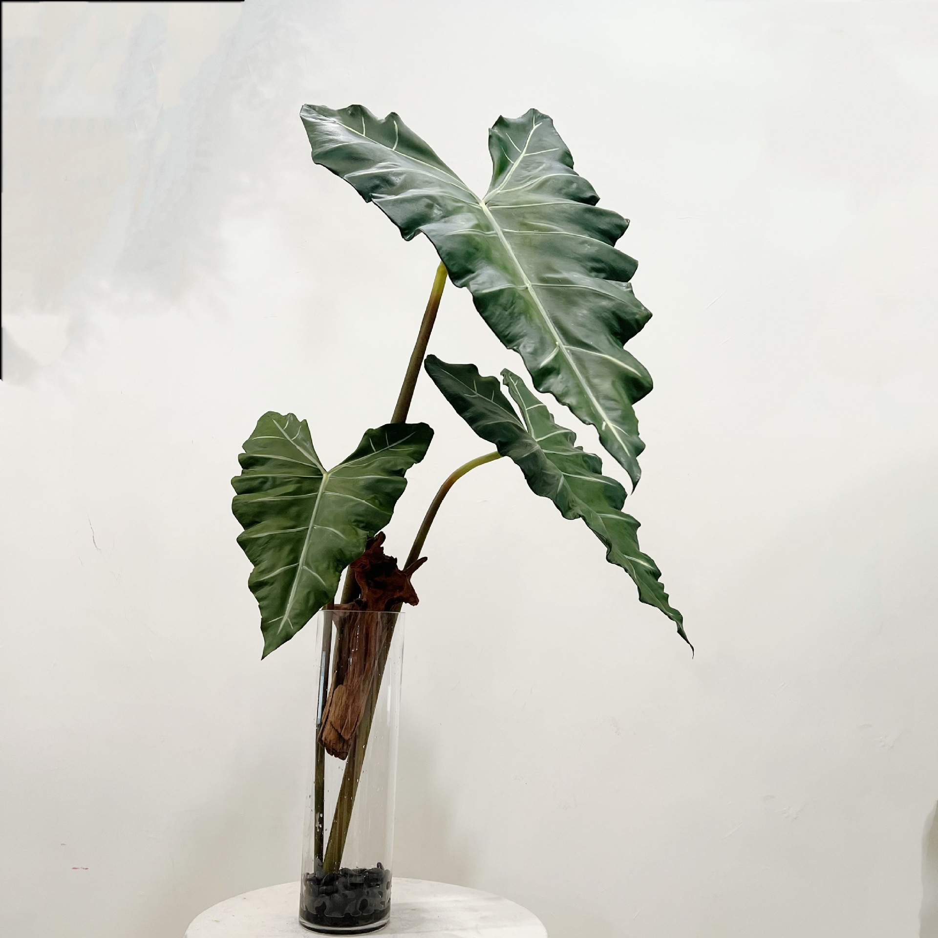 Simulated Long PU Hand-feel Gr - Dracaena Marginata 评论和价格