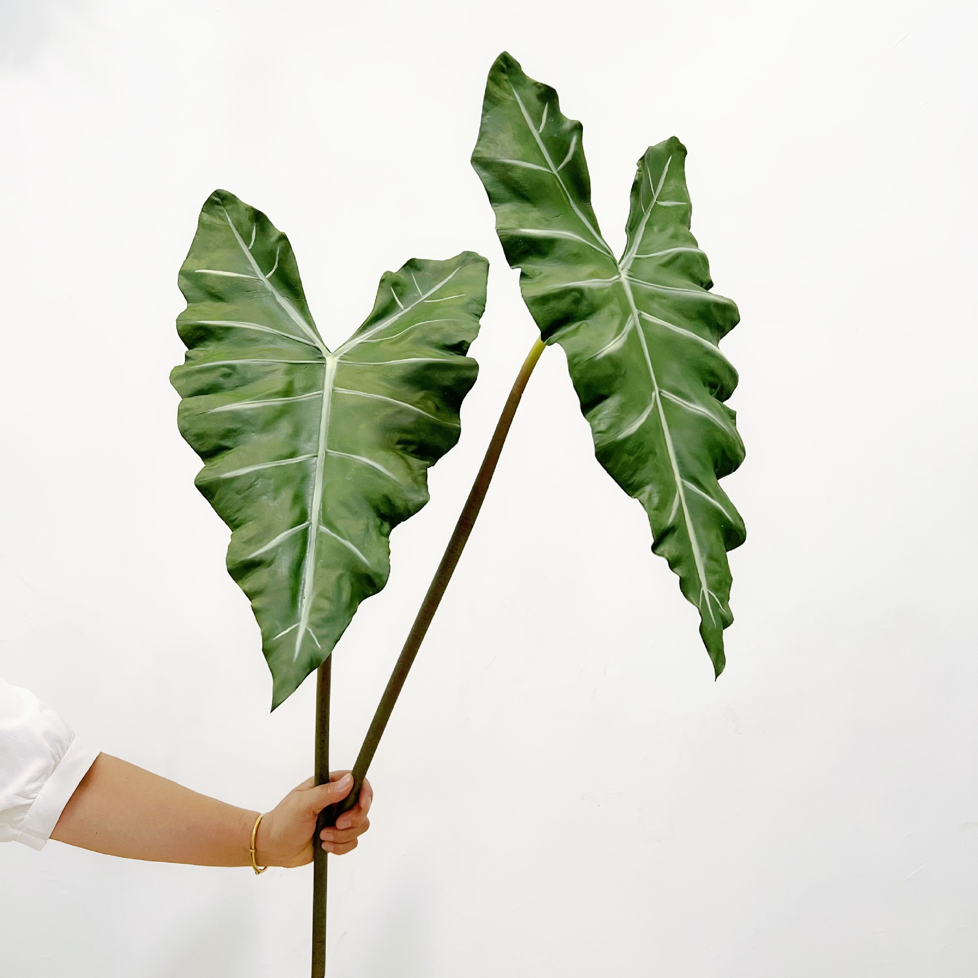 Simulated Long PU Hand-feel Gr - Dracaena Marginata 评论和价格