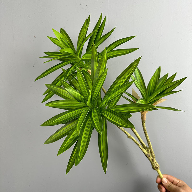 Simulated Green Plants 3 Heads - Dracaena Marginata 评论和价格